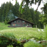 Bild Hütte 1
